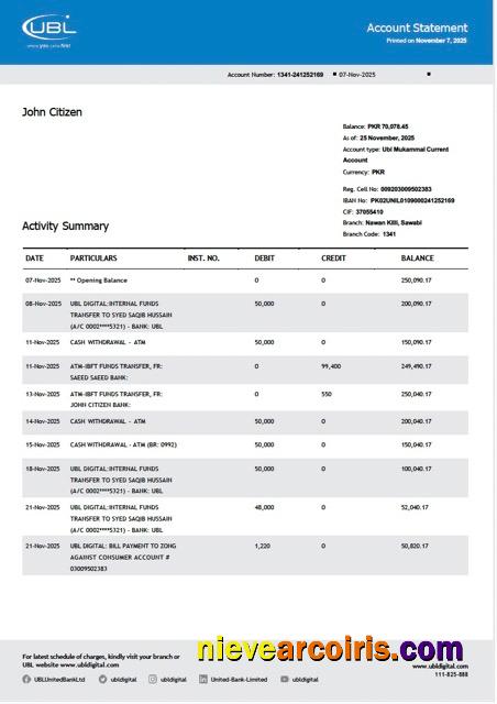 Pakistan United Bank Limited account statement Word and PDF